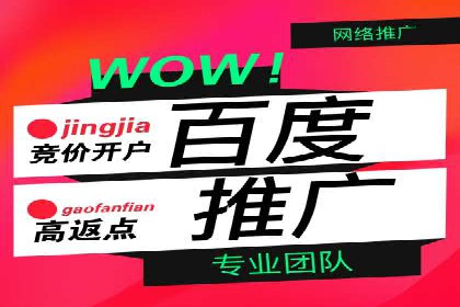 SEM推广实战：案例解析与策略探讨